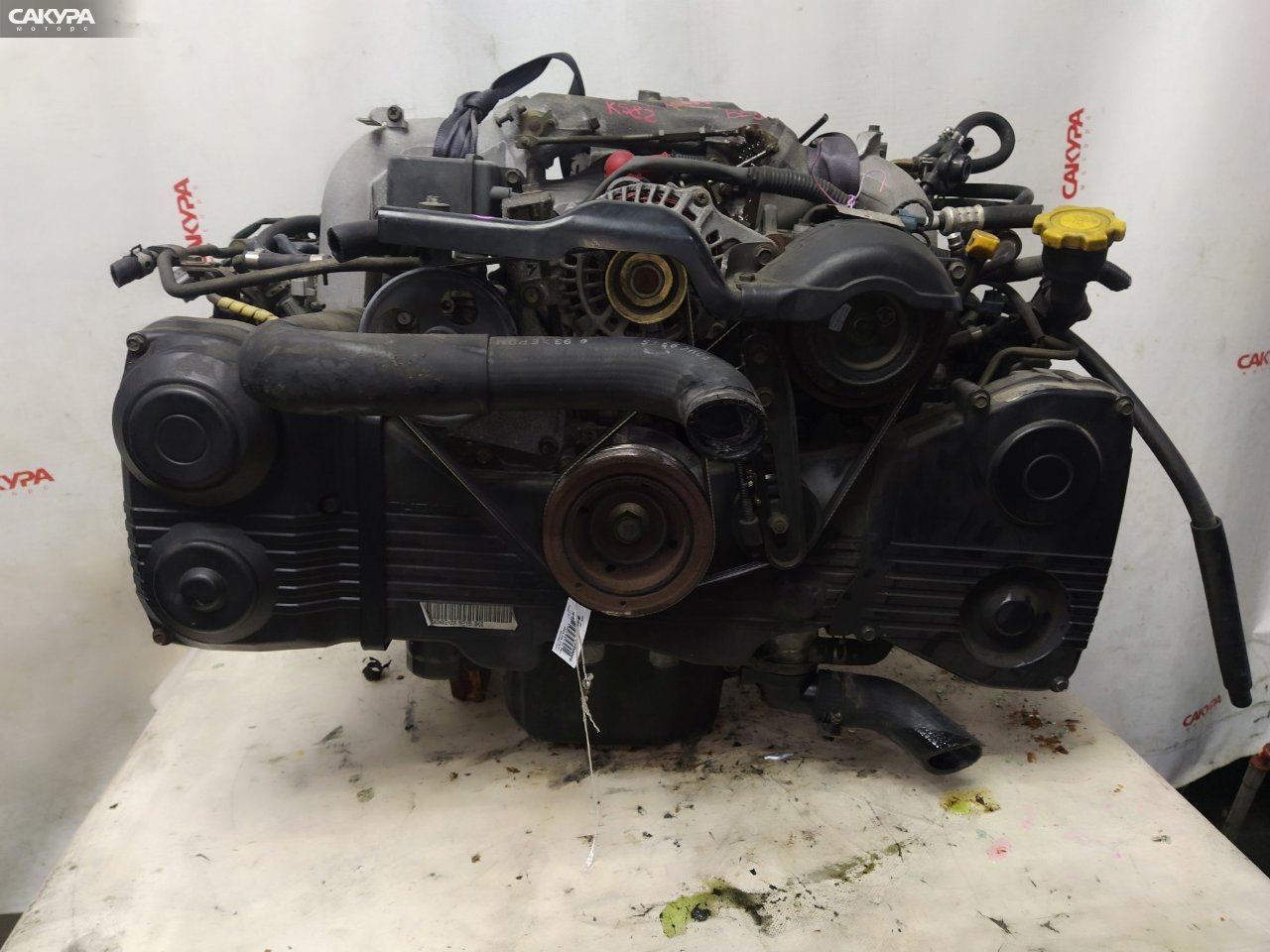 Двигатель Subaru Legacy BE5 EJ204: купить в Сакура Красноярск.