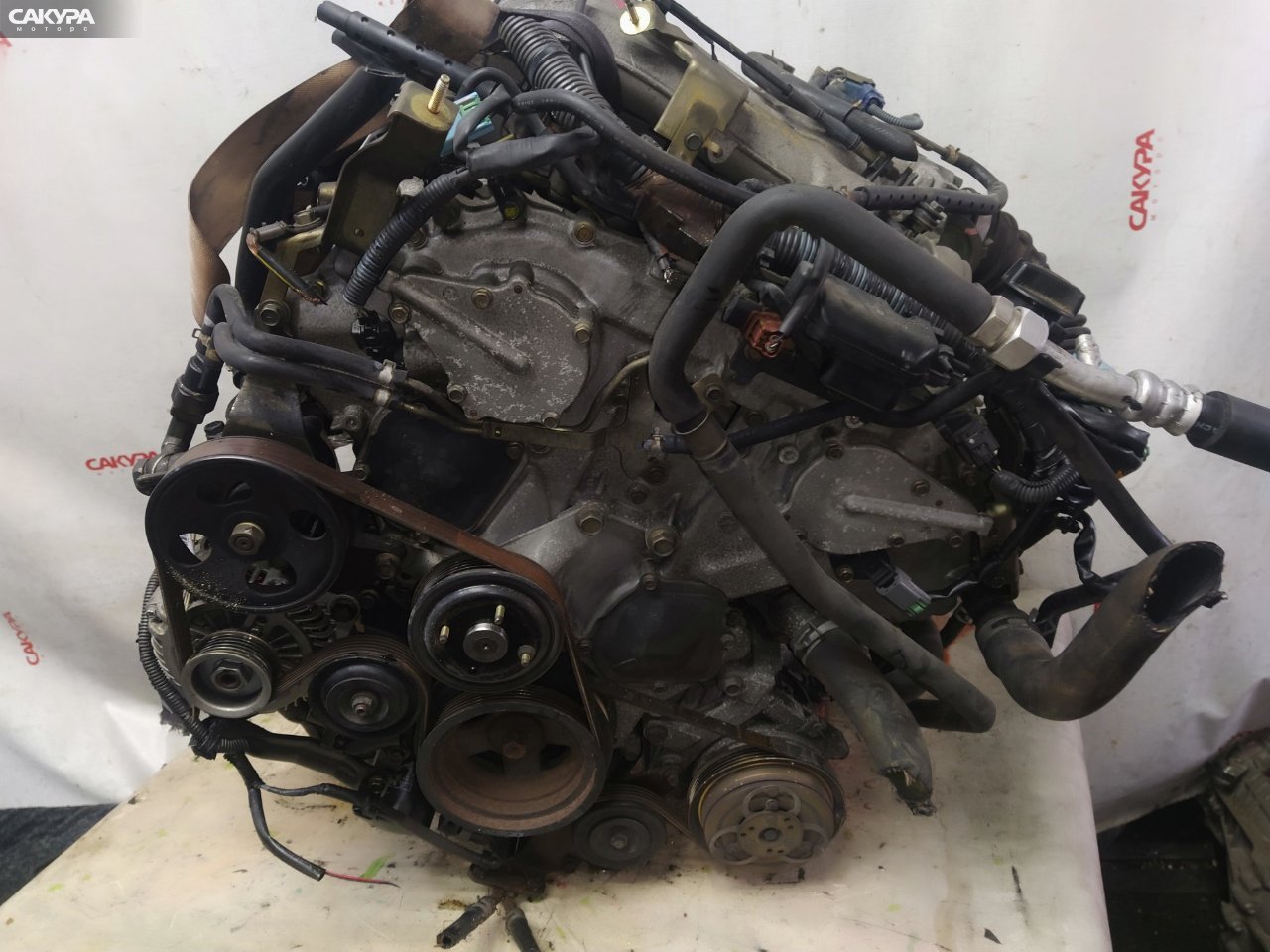 Двигатель Nissan Elgrand APE50 VQ35DE: купить в Сакура Красноярск.