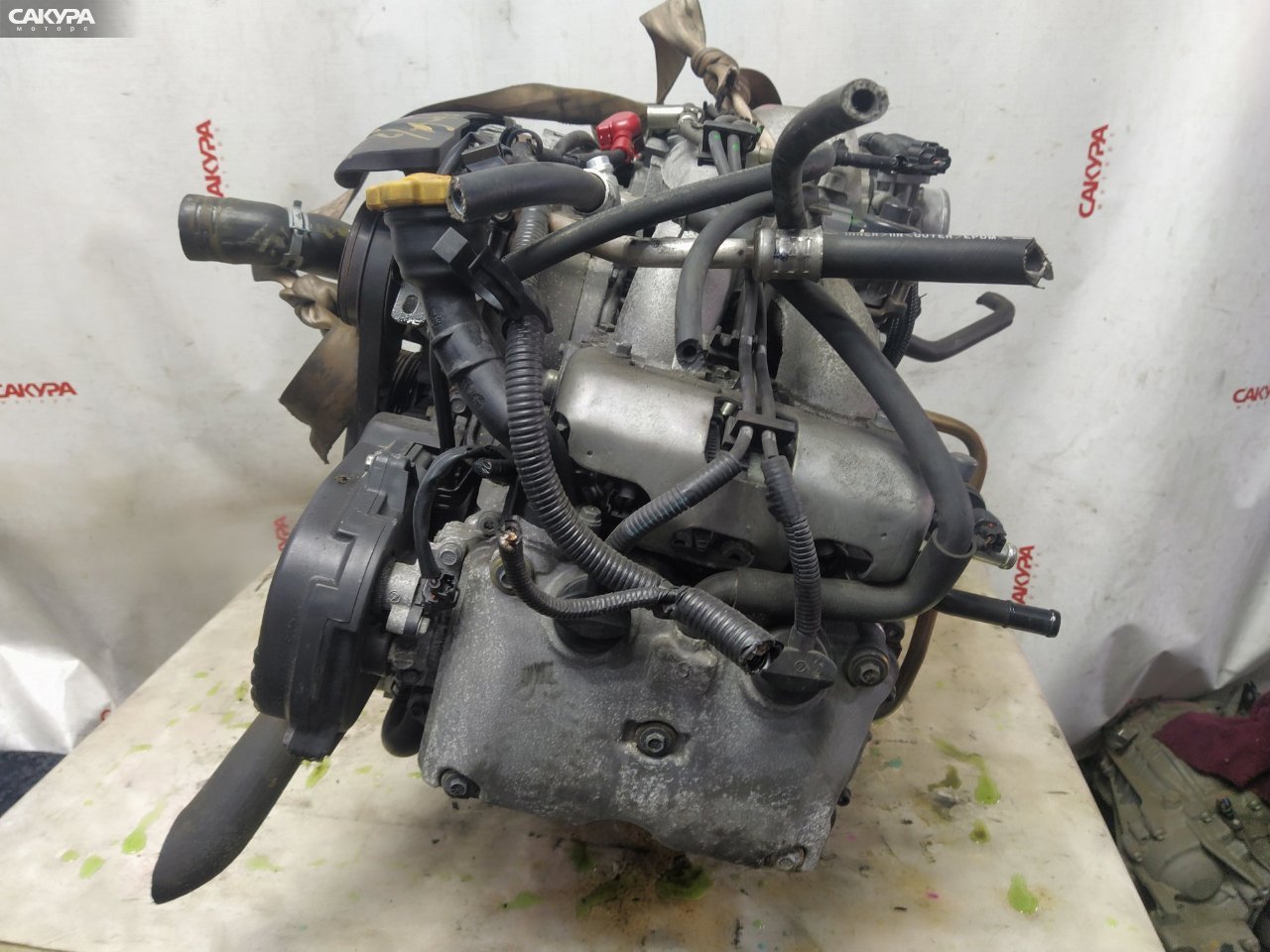 Двигатель Subaru Legacy BP5 EJ203: купить в Сакура Красноярск.