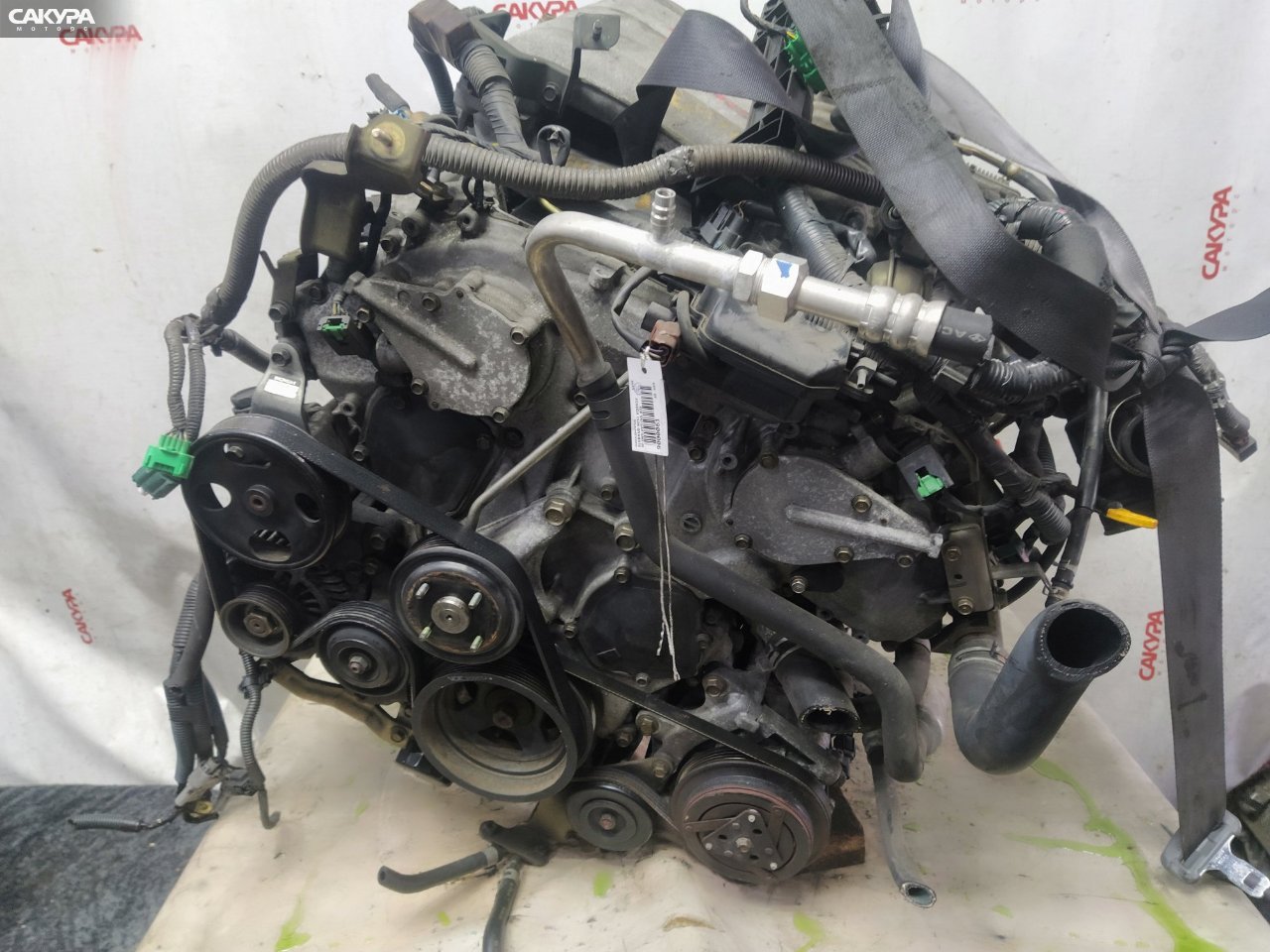Двигатель Nissan Elgrand NE51 VQ35DE: купить в Сакура Красноярск.