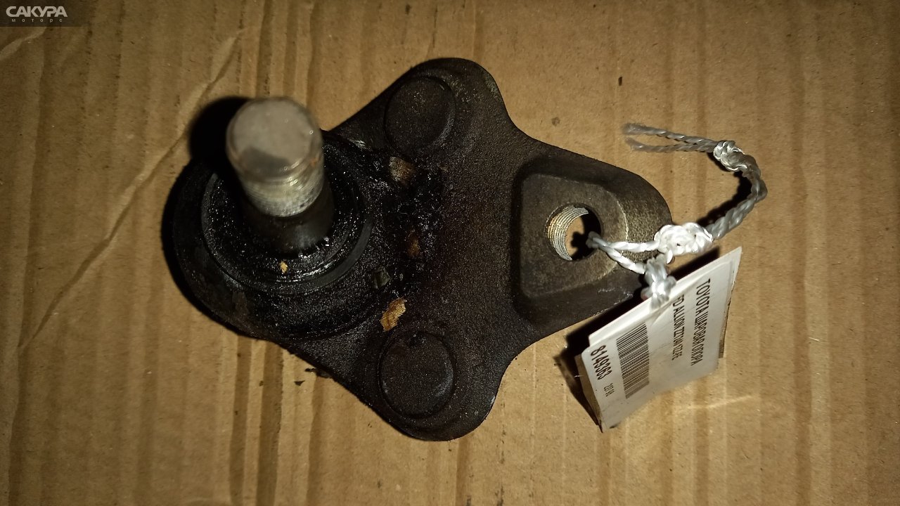 Шаровая опора передняя Toyota Allion ZZT240 1ZZ-FE: купить в Сакура Абакан.