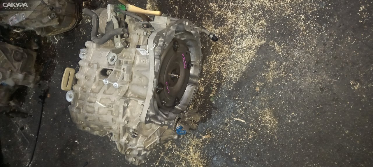 АКПП Nissan Bluebird Sylphy KG11 MR20DE: купить в Сакура Абакан.