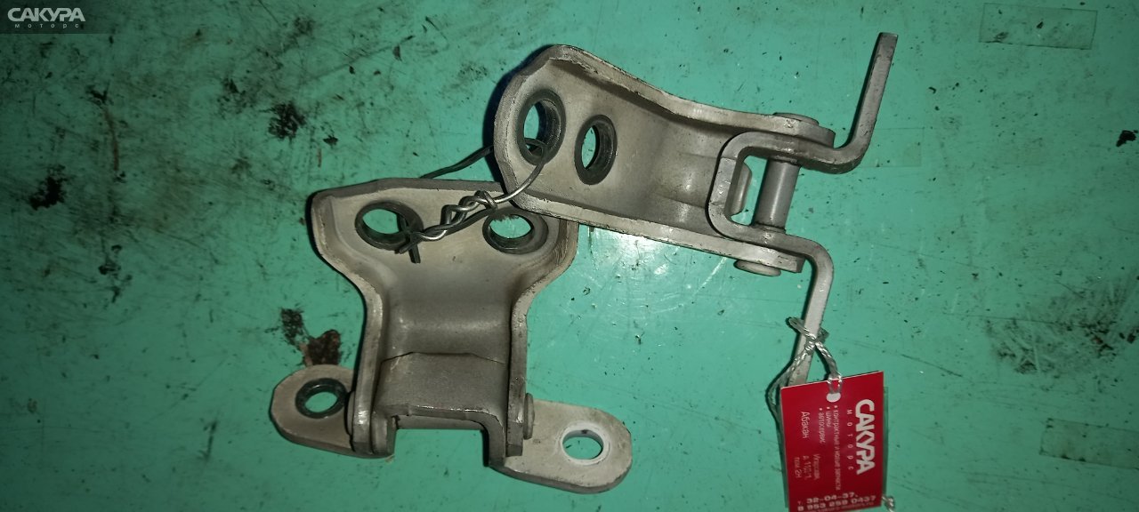 Петля двери передняя правая Toyota Windom MCV21 2MZ-FE: купить в Сакура Абакан.