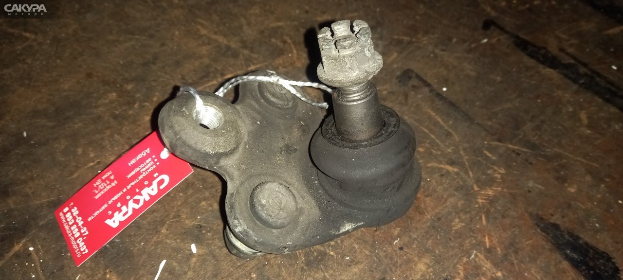 Шаровая опора передняя Honda Civic Hybrid FD3: купить в Сакура Абакан.