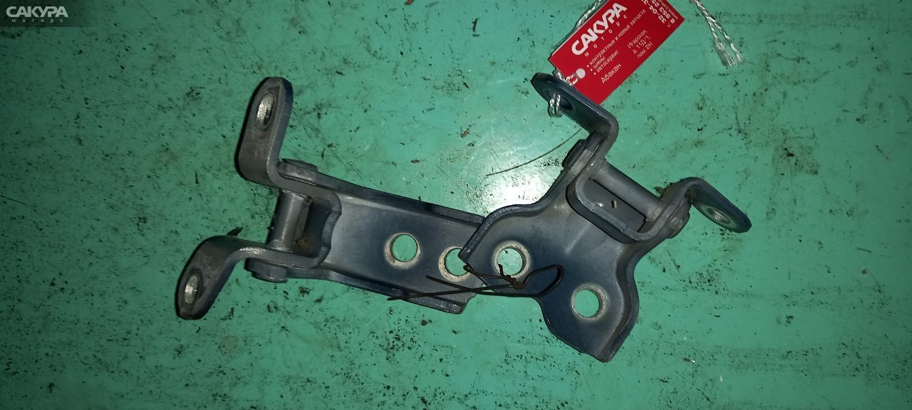 Петля двери передняя левая Toyota Wish ZNE10 1ZZ-FE: купить в Сакура Абакан.