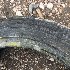 Купить шины Achilles 2233 205/45 R16 в Красноярске